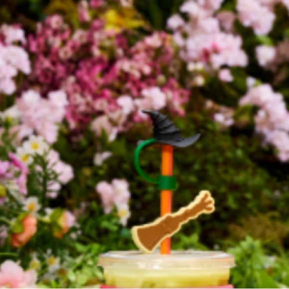 Stanley Wicked Elphaba 30oz Tumbler Bundle Straw Topper Glinda Limited Edition - Picture 4 of 6